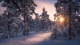 Desktop wallpaper. Nature. ID:91129