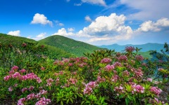 Desktop wallpaper. Nature. ID:91202