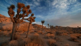 Desktop wallpaper. Nature. ID:91330
