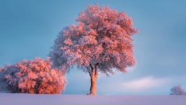 Desktop wallpaper. Nature. ID:91351