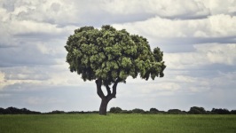 Desktop wallpaper. Nature. ID:91354