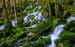 Desktop wallpaper. Nature. ID:91674
