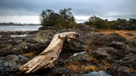Desktop wallpaper. Nature. ID:92159