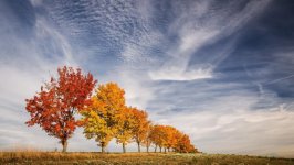 Desktop wallpaper. Nature. ID:92478