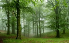Desktop wallpaper. Nature. ID:92485