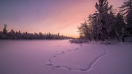 Desktop wallpaper. Nature. ID:92559