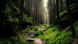 Desktop wallpaper. Nature. ID:92644
