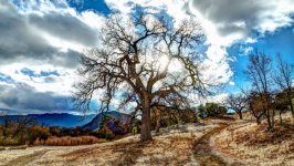 Desktop image. Nature. ID:92705