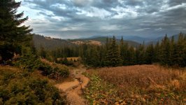 Desktop image. Nature. ID:92804
