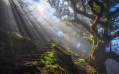 Desktop image. Nature. ID:92817