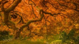 Desktop wallpaper. Nature. ID:93104