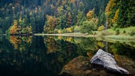 Desktop wallpaper. Nature. ID:93114