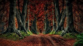 Desktop wallpaper. Nature. ID:93342