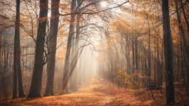 Desktop wallpaper. Nature. ID:93349