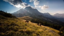 Desktop wallpaper. Nature. ID:95282