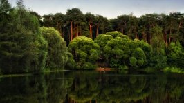 Desktop wallpaper. Nature. ID:95449