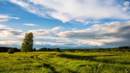 Desktop wallpaper. Nature. ID:95584