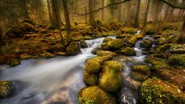 Desktop wallpaper. Nature. ID:96366