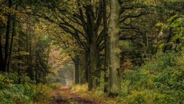 Desktop wallpaper. Nature. ID:96374