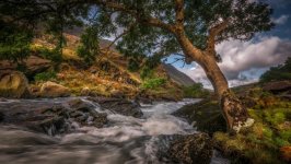 Desktop wallpaper. Nature. ID:96424