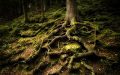 Desktop wallpaper. Nature. ID:96735