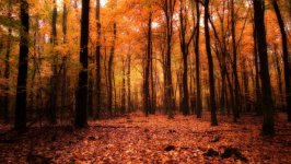 Desktop wallpaper. Nature. ID:96736