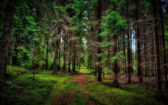 Desktop wallpaper. Nature. ID:96878