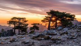 Desktop wallpaper. Nature. ID:97085