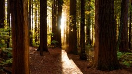 Desktop wallpaper. Nature. ID:97490