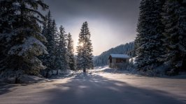 Desktop wallpaper. Nature. ID:98600