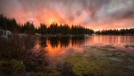 Desktop wallpaper. Nature. ID:98676