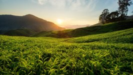 Desktop wallpaper. Nature. ID:99232