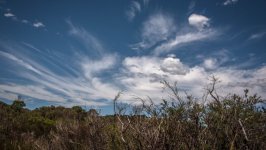 Desktop image. Nature. ID:99527