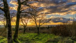 Desktop image. Nature. ID:99779
