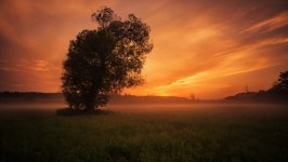 Desktop image. Nature. ID:99858