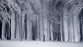 Desktop wallpaper. Nature. ID:99963