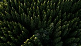 Desktop wallpaper. Nature. ID:99972
