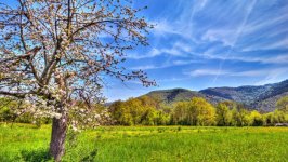 Desktop wallpaper. Nature. ID:100095