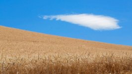 Desktop wallpaper. Nature. ID:100343