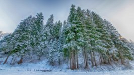 Desktop wallpaper. Nature. ID:100468