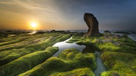 Desktop wallpaper. Nature. ID:100976