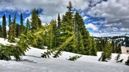 Desktop wallpaper. Nature. ID:102157
