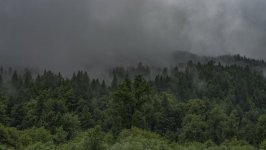 Desktop wallpaper. Nature. ID:102498