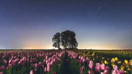 Desktop wallpaper. Nature. ID:102601