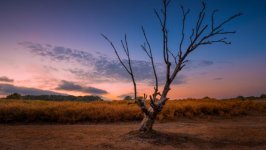 Desktop wallpaper. Nature. ID:102652