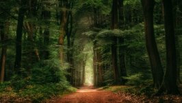 Desktop wallpaper. Nature. ID:102653