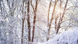 Desktop wallpaper. Nature. ID:102705