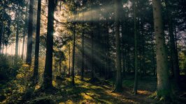 Desktop wallpaper. Nature. ID:102824