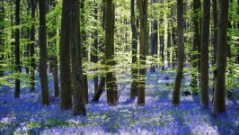 Desktop wallpaper. Nature. ID:103122