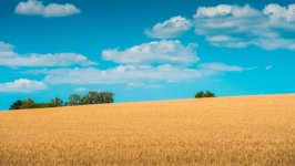 Desktop wallpaper. Nature. ID:103123